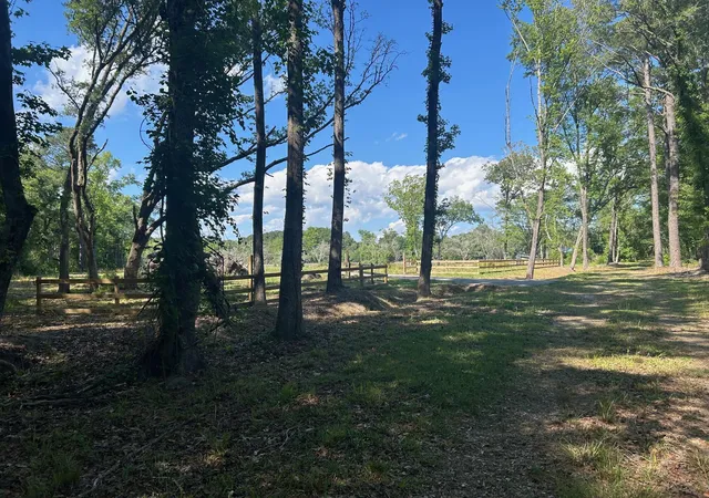 Photo 3 of Land for sale at 3302 Old Pond Rd, Johns Island, SC 29455 | MLS# 26011725 | Listing updated on 2026-09-08