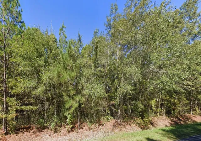Land for sale at Tbd New Meadow Dr, Reevesville, SC 29471 | MLS# 26011047
