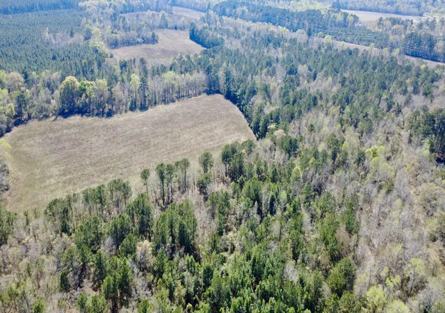 Photo 1 of Land for sale at 1 Westbury Rd, Saint George, SC 29477 | MLS# 26008043 | Listing updated on 2026-06-23