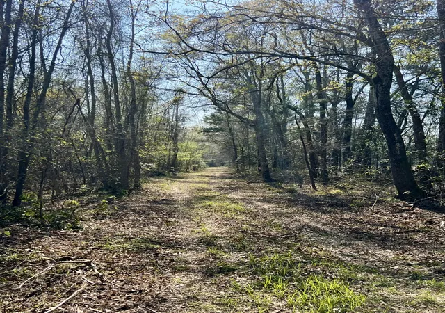 Photo 2 of Land for sale at 1 Westbury Rd, Saint George, SC 29477 | MLS# 26008043 | Listing updated on 2026-06-23