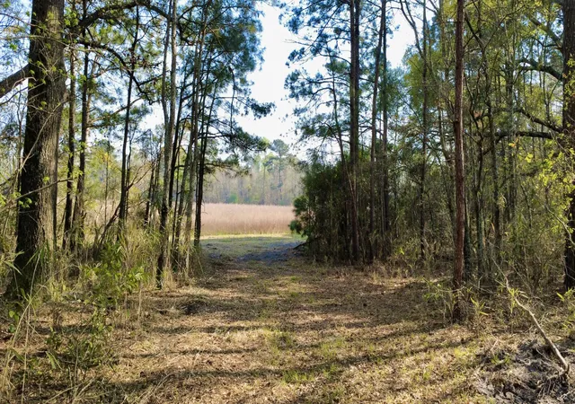 Photo 3 of Land for sale at 1 Westbury Rd, Saint George, SC 29477 | MLS# 26008043 | Listing updated on 2026-06-23