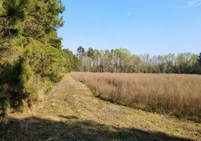 Photo 4 of Land for sale at 1 Westbury Rd, Saint George, SC 29477 | MLS# 26008043 | Listing updated on 2026-06-23