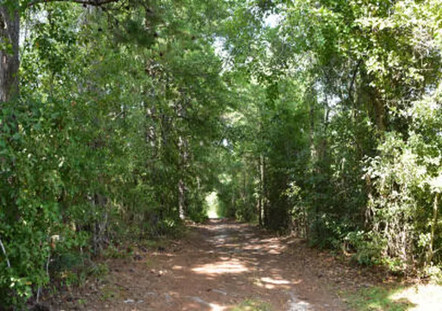 Photo 2 of Land for sale at Lot A Bobbie Ln, Pineville, SC 29468 | MLS# 25000006 | Listing updated on 2026-10-09