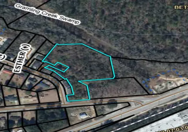 Photo 1 of Land for sale at 210212 Esther Ln, Orangeburg, SC 29115 | MLS# 26020630 | Listing updated on 2026-07-20