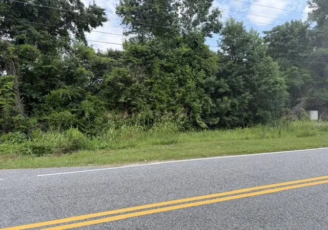 Photo 2 of Land for sale at 210212 Esther Ln, Orangeburg, SC 29115 | MLS# 26020630 | Listing updated on 2026-07-20