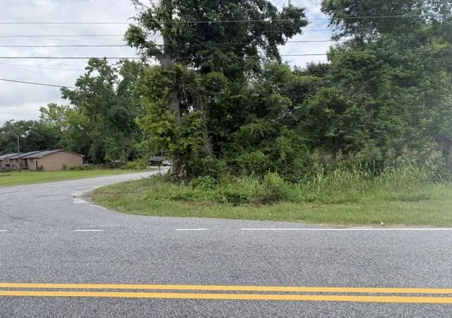 Photo 3 of Land for sale at 210212 Esther Ln, Orangeburg, SC 29115 | MLS# 26020630 | Listing updated on 2026-07-20