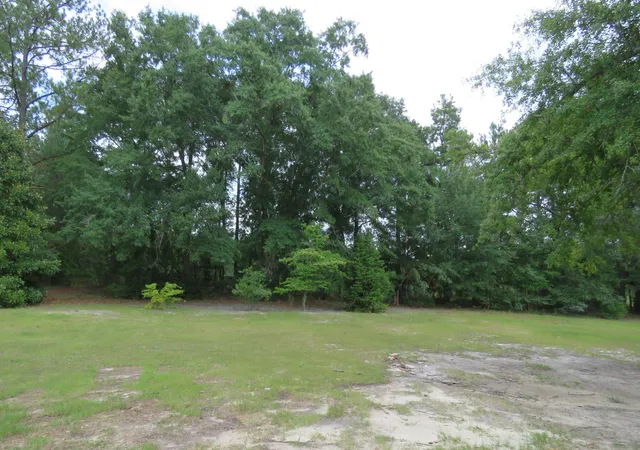 Photo 4 of Sale Pending at 173 Bird Dog Rd, Swansea, SC 29160 | MLS# 26022640 | Listing updated on 2026-09-22