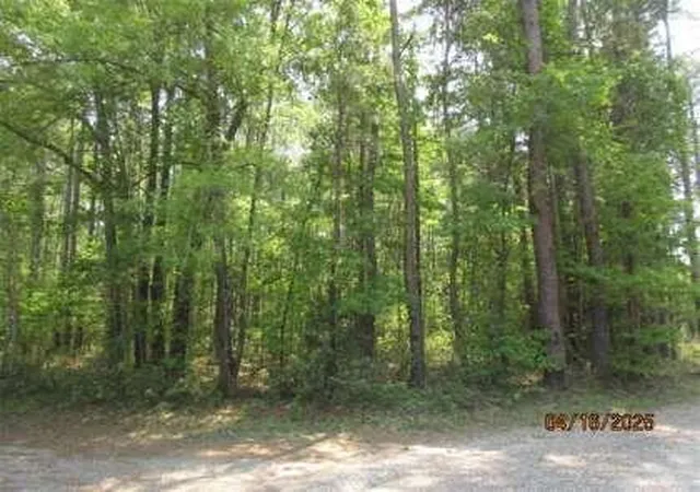 1st image of 0 Old Arrowhead Rd, Huger, SC 29450 | MLS# 26021300