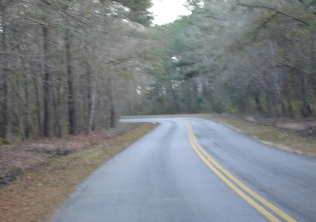Photo 1 of Land for sale at 5563 Mauss Hl Rd, Adams Run, SC 29426 | MLS# 21002172 | Listing updated on 2024-08-22