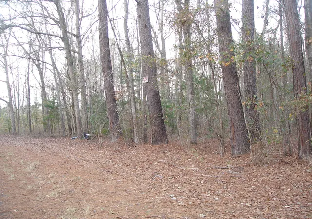 Photo 3 of Land for sale at 5563 Mauss Hl Rd, Adams Run, SC 29426 | MLS# 21002172 | Listing updated on 2024-08-22