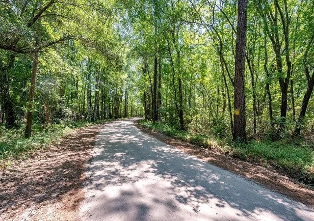 Photo 3 of Land for sale at 0 Hyde Park Rd, Ravenel, SC 29470 | MLS# 26010751 | Listing updated on 2026-05-20