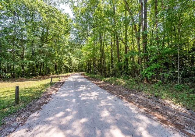 Photo 4 of Land for sale at 0 Hyde Park Rd, Ravenel, SC 29470 | MLS# 26010751 | Listing updated on 2026-05-20