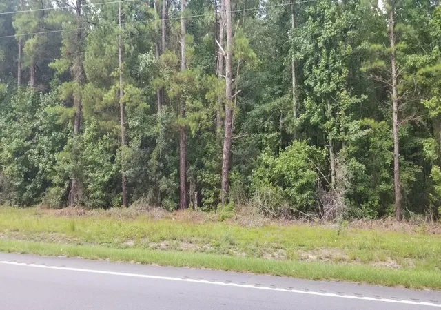 1st image of 0 Augusta Hwy, Smoaks, SC 29481 | MLS# 26022074