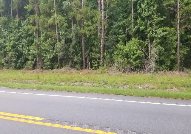 2nd image of 0 Augusta Hwy, Smoaks, SC 29481 | MLS# 26022074