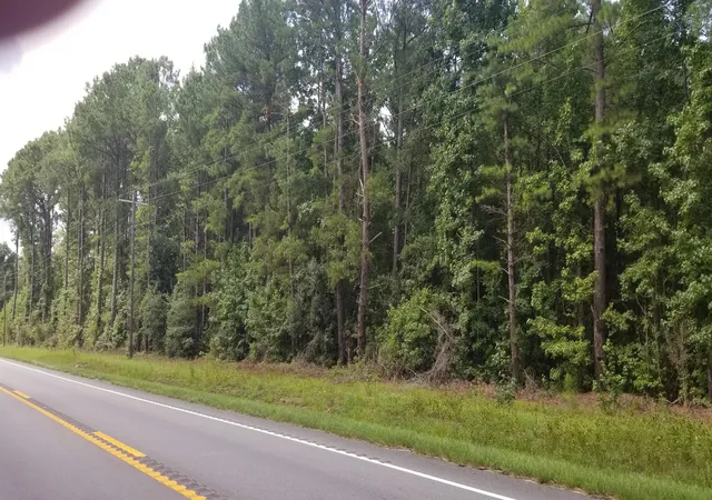 Photo 3 of Land for sale at 0 Augusta Hwy, Smoaks, SC 29481 | MLS# 26022074 | Listing updated on 2026-08-04