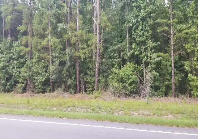Photo 3 of Land for sale at 0 Augusta Hwy, Smoaks, SC 29481 | MLS# 26022074 | Listing updated on 2026-08-04