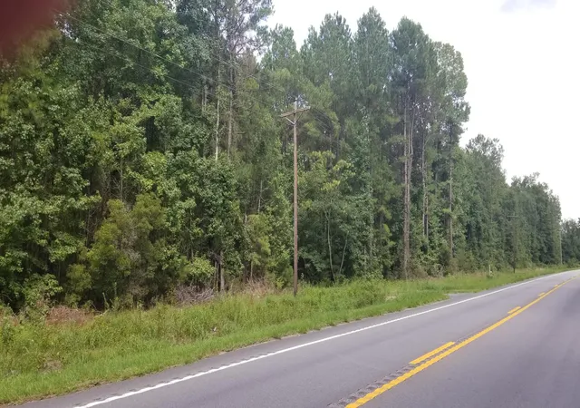 Photo 4 of Land for sale at 0 Augusta Hwy, Smoaks, SC 29481 | MLS# 26022074 | Listing updated on 2026-08-04
