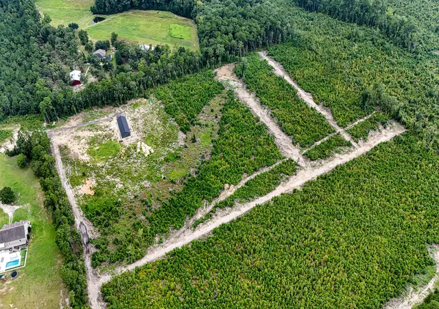 Photo 4 of Land for sale at 00 County Road, Summerville, SC 29483 | MLS# 26024062 | Listing updated on 2026-08-25