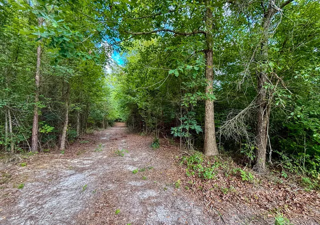 Homes for sale in Hemingway, SC | 0 Henry Rd, Hemingway, SC 29554 | MLS# 26019486