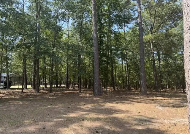 Photo 4 of Manufactured home for sale at 1323 Pleasure Dr, Summerton, SC 29148 | MLS# 26022110 | Listing updated on 2026-08-04