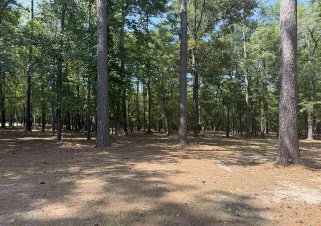 Photo 5 of Manufactured home for sale at 1323 Pleasure Dr, Summerton, SC 29148 | MLS# 26022110 | Listing updated on 2026-08-04