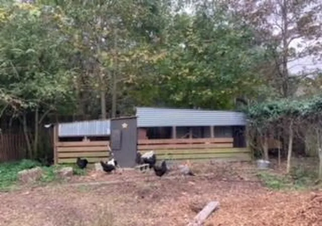 3rd image of 1661 Lonnie Taylor Ln, Wadmalaw Island, SC 29487 | MLS# 26016459