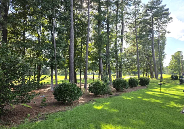 Photo 3 of Single family home for sale at 297 Renau Blvd, Summerville, SC 29483 | MLS# 26024626 | Listing updated on 2026-09-01