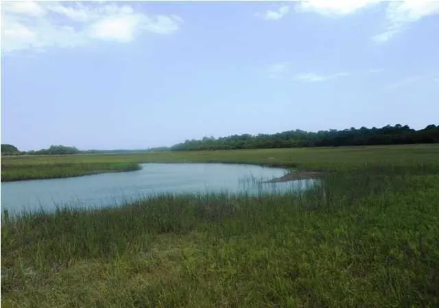 Photo 1 of Land for sale at 0 Point Of Pines Rd, Edisto Island, SC 29438 | MLS# 1315807 | Listing updated on 2024-08-22
