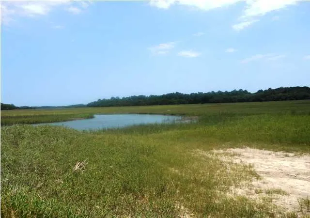 Photo 2 of Land for sale at 0 Point Of Pines Rd, Edisto Island, SC 29438 | MLS# 1315807 | Listing updated on 2024-08-22