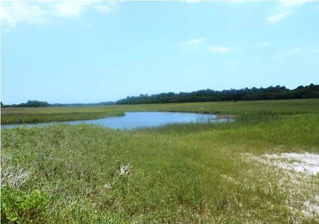Photo 3 of Land for sale at 0 Point Of Pines Rd, Edisto Island, SC 29438 | MLS# 1315807 | Listing updated on 2024-08-22