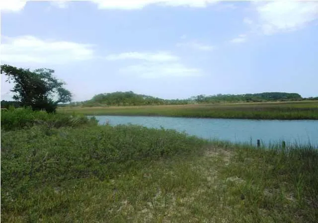 Photo 3 of Land for sale at 0 Point Of Pines Rd, Edisto Island, SC 29438 | MLS# 1315807 | Listing updated on 2024-08-22