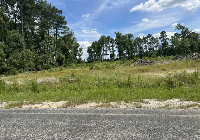 Homes for sale in Cameron, SC | 245 Wild Turkey State Rd S 38 465, Cameron, SC 29030 | MLS# 26018352