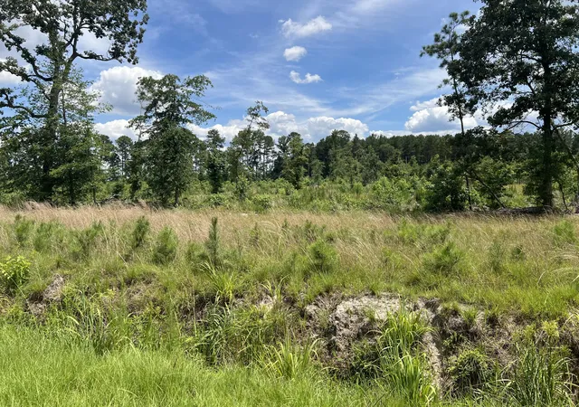 Homes for sale in Cameron, SC | 245 Wild Turkey State Rd S-38-465, Cameron, SC 29030 | MLS# 26018352