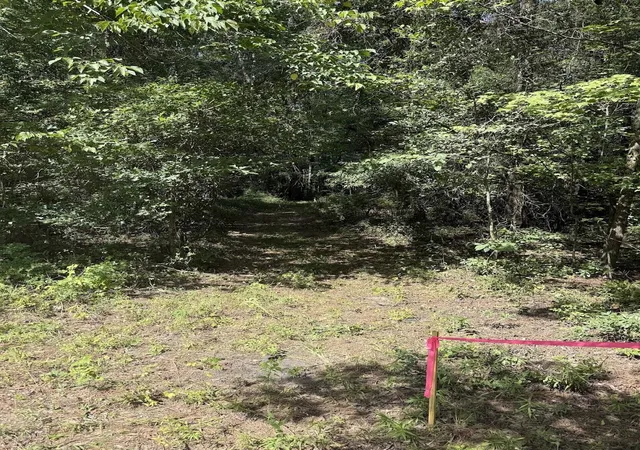 Photo 1 of Land for sale at 1 Parkers Fry Rd, Adams Run, SC 29426 | MLS# 26021129 | Listing updated on 2026-09-14