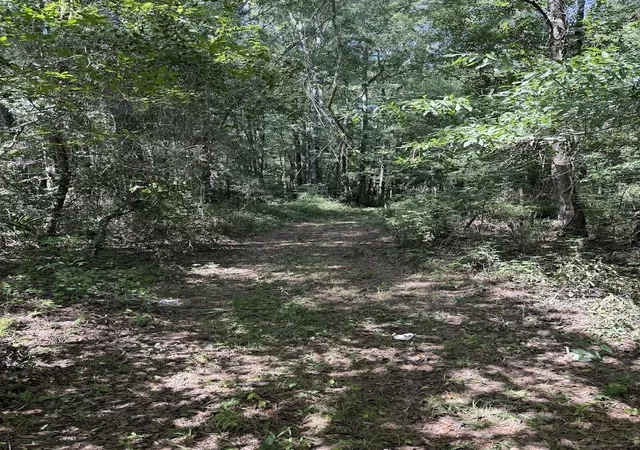 Photo 2 of Land for sale at 1 Parkers Fry Rd, Adams Run, SC 29426 | MLS# 26021129 | Listing updated on 2026-09-14