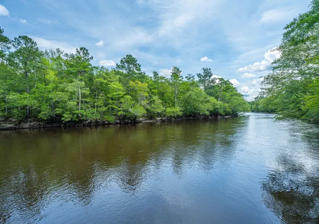 Photo 1 of Land for sale at 100 Hannibal Trl, Ridgeville, SC 29472 | MLS# 25021993 | Listing updated on 2026-09-04