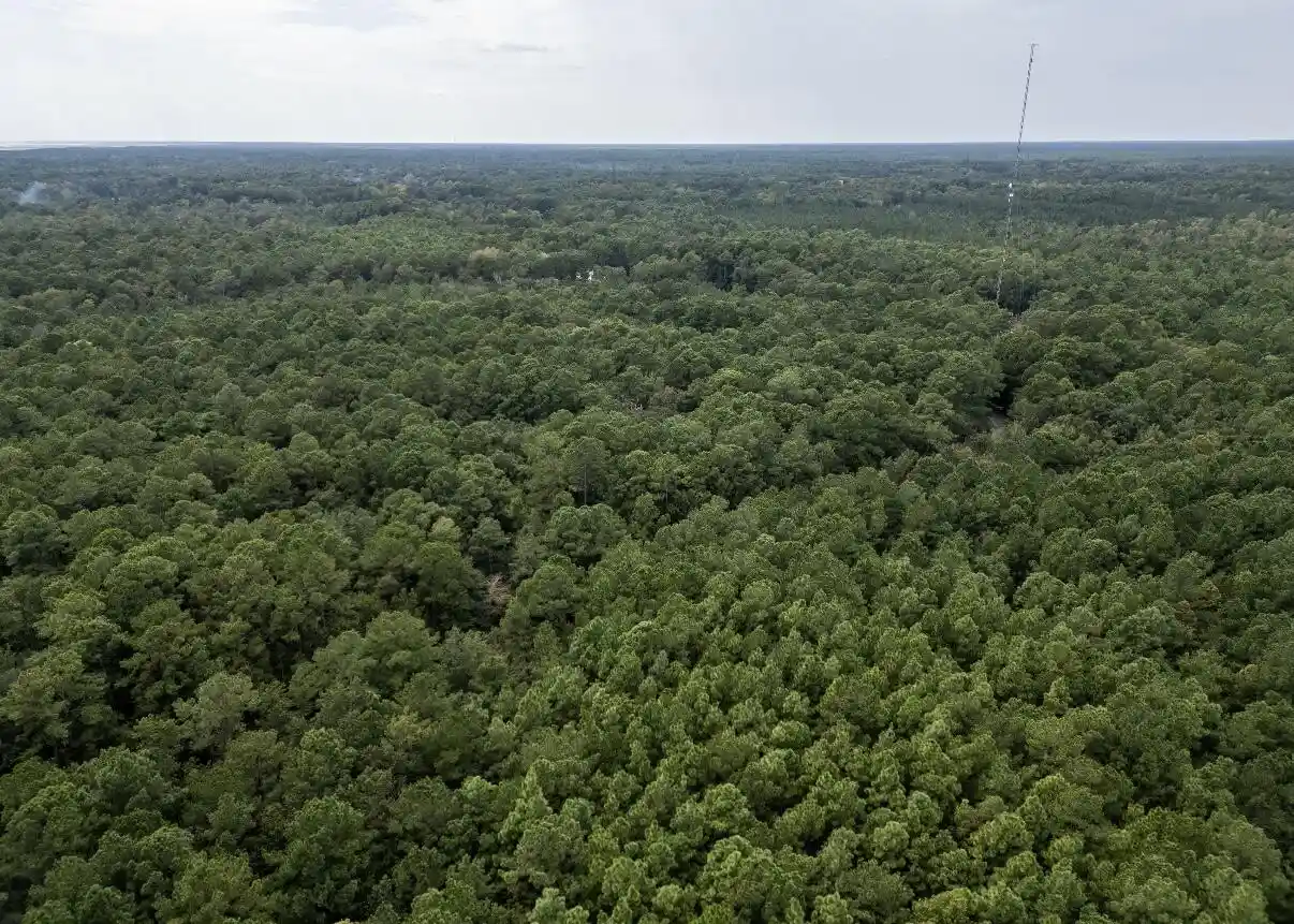 Land for sale at 0 Society Rd, Mc Clellanville, SC 29458 | MLS# 26028802