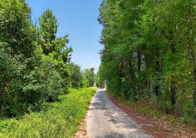 3rd image of 0 Legare Dr, Moncks Corner, SC 29461 | MLS# 26022068