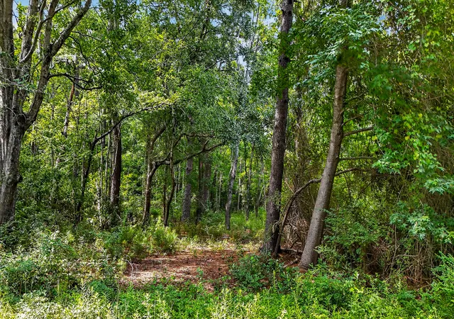 4th image of 0 Legare Dr, Moncks Corner, SC 29461 | MLS# 26022068