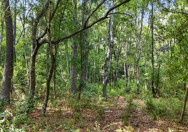 5th image of 0 Legare Dr, Moncks Corner, SC 29461 | MLS# 26022068