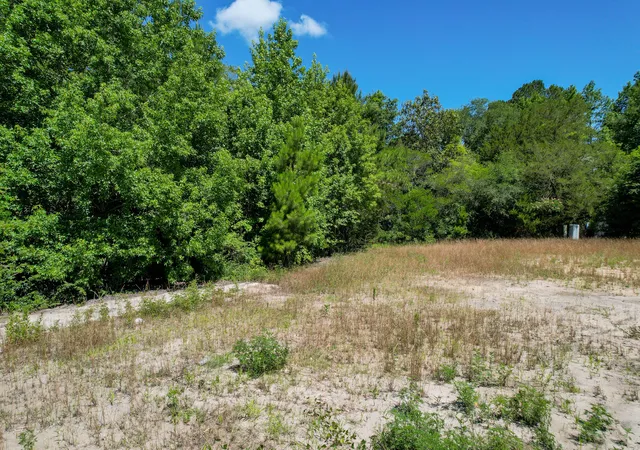 Homes for sale in Ridgeville, SC | 5074 S Hwy 17a, Ridgeville, SC 29472 | MLS# 26017861