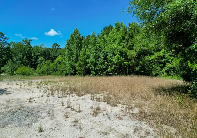 Homes for sale in Ridgeville, SC | 5074 S Hwy 17A, Ridgeville, SC 29472 | MLS# 26017861