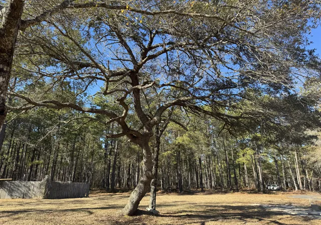 2nd image of 263 Brewer Rd, Summerville, SC 29483 | MLS# 26008645