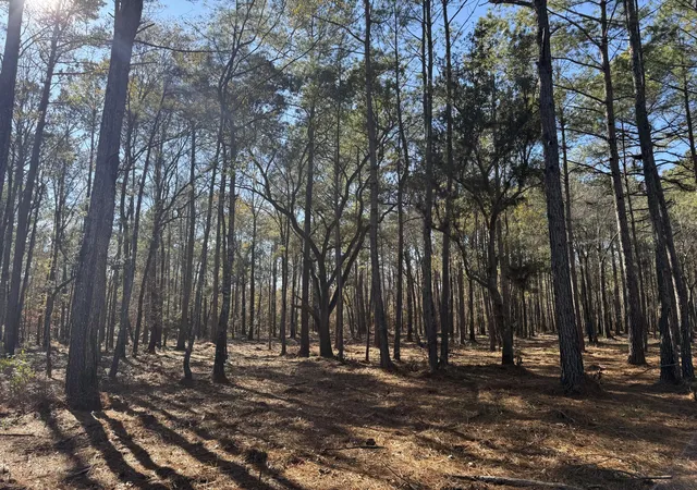 4th image of 263 Brewer Rd, Summerville, SC 29483 | MLS# 26008645