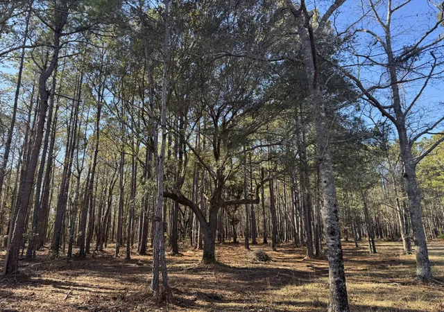 5th image of 263 Brewer Rd, Summerville, SC 29483 | MLS# 26008645