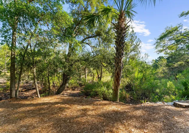 74th image of 5819 Back Bay Dr, Isle Of Palms, SC 29451 | MLS# 26020810