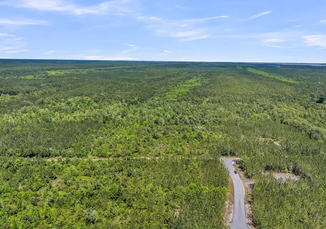 Photo 2 of Land for sale at 0 Deas Hl Rd, Mc Clellanville, SC 29458 | MLS# 26016827 | Listing updated on 2026-06-10