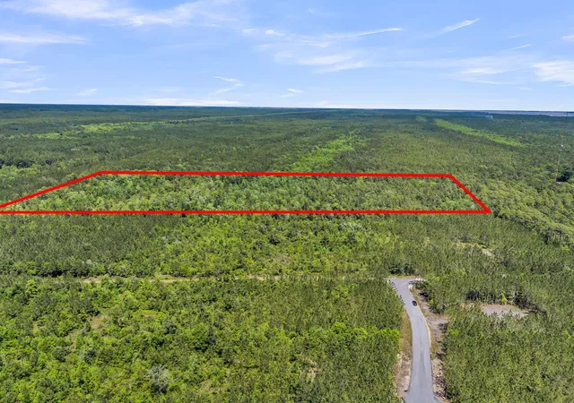 Photo 3 of Land for sale at 0 Deas Hl Rd, Mc Clellanville, SC 29458 | MLS# 26016827 | Listing updated on 2026-06-10