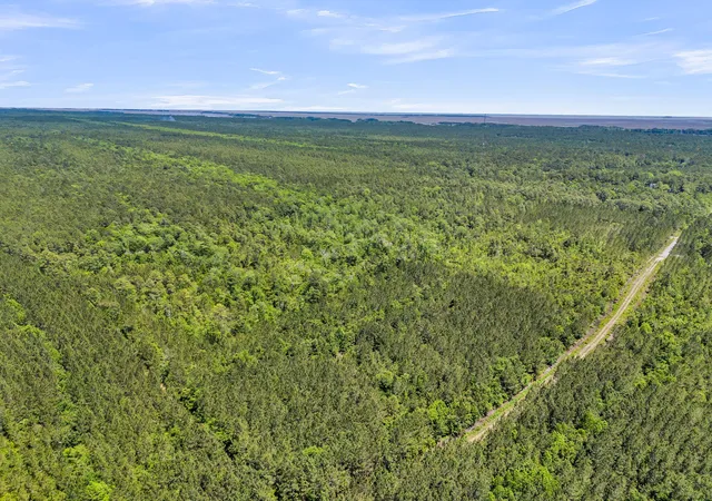 Photo 3 of Land for sale at 0 Deas Hl Rd, Mc Clellanville, SC 29458 | MLS# 26016827 | Listing updated on 2026-06-10