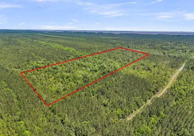 Photo 4 of Land for sale at 0 Deas Hl Rd, Mc Clellanville, SC 29458 | MLS# 26016827 | Listing updated on 2026-06-10